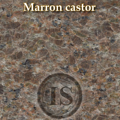 Marron Castor